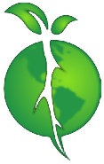 Green Earth Moon