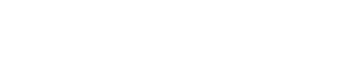 BLACK FLAG